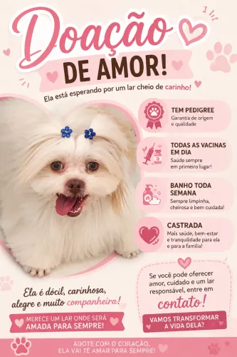 Estou doado um cachorro de raça