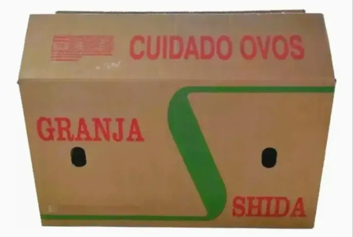 Caixa de ovo para mudança resistente 4,99 cada