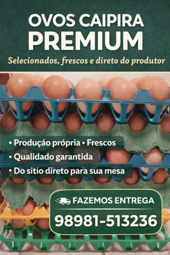 Ovos de galinha caipira