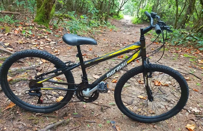Bike aro 24