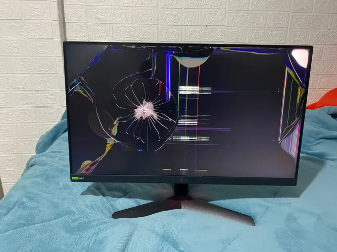 Monitor LG Ultragear 24