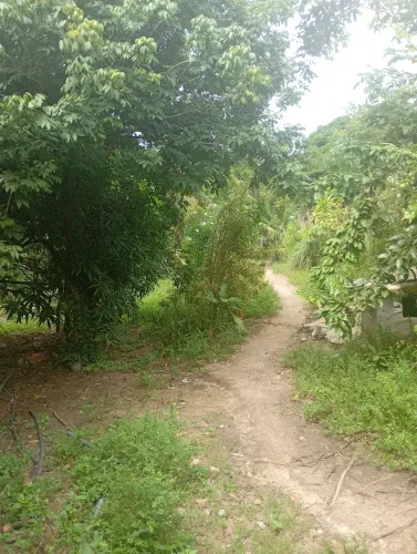 Sítio paulista Vila torres Galvão próximo o colégio Fernando Ferrari