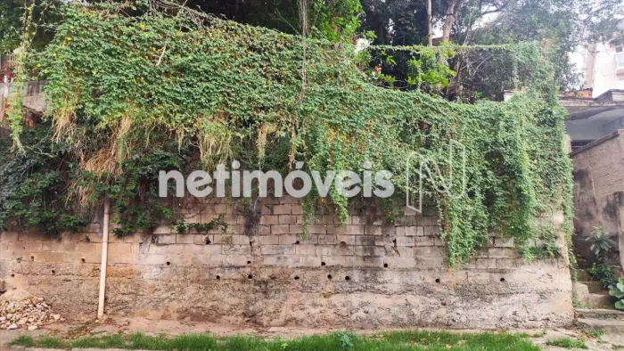 Lote de 360m²; no Sagrada Família Excelente oportunidade para investimento
