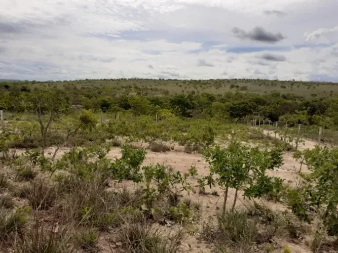 Terreno em Felixlândia (Distr. Curvelo) 2.293m2 ás margens do Rio Paraopeba. 