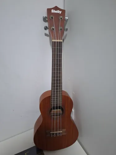 Ukulele Shelby Concert