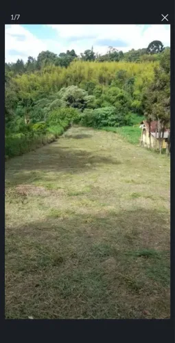 Terreno Limpo