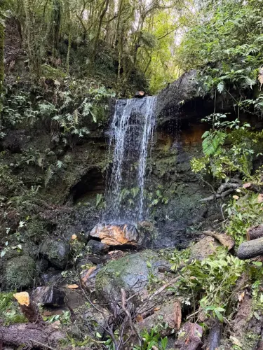 RARIDADE - 3 CACHOEIRAS A APENAS 2 KM DO CENTRO - 4 ha