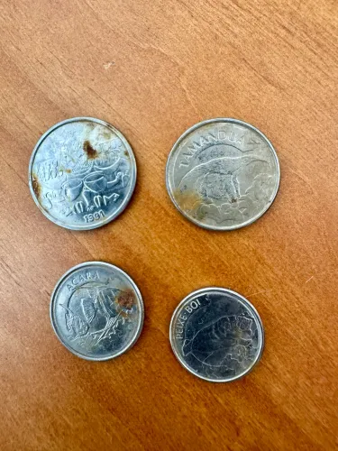 Moedas Cruzeiro Acará/Tamanduá/Peixe Boi/ Baiana