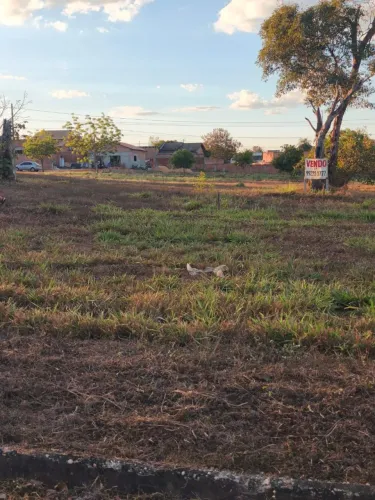VENDO TERRENO QUITADO NO LUZIMANGUE