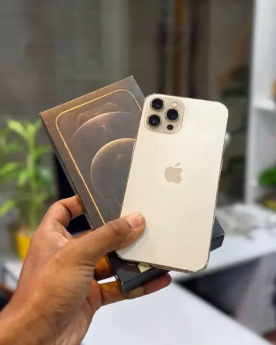 Apple iPhone 11 dourado novíssimo 