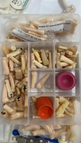 Kit Peças em Resina para Manequim de Treino + Potes Dappen e Caixa Organizadora