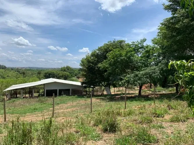 Fazenda 47ha, 2 casas sede/caseiro plantação de mogno, manga Palmer, nascente, córrego.