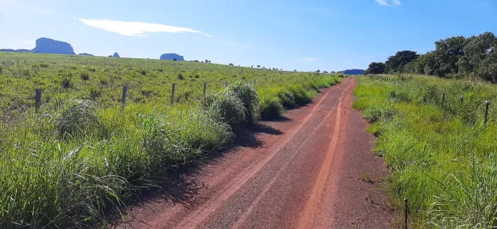 Fazenda 1.050hec em Poxoréu MT. 600hec formados, R$:20 mil p/hec