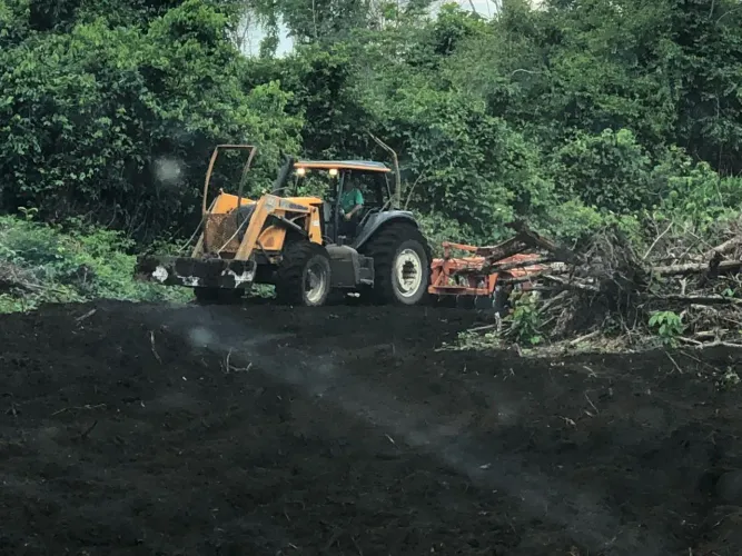 Faz 26 Alq 16 Alq de Pasto já plantou abacaxi 