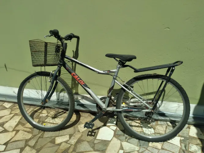 Bicicleta caloi terra