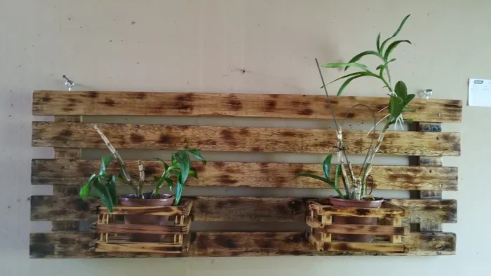 Rack de Parede em Pallet para Plantas