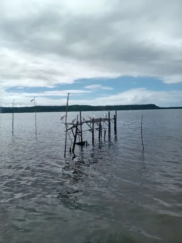 DESPACHANTE  ATUANTE NO SETOR DE IMÓVEIS 