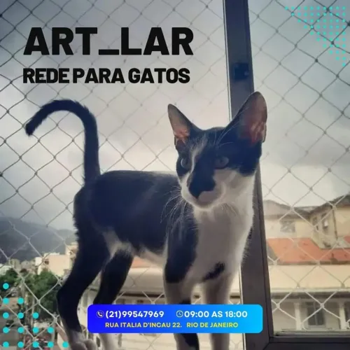 Tela de proteção