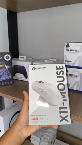 Mouse X11