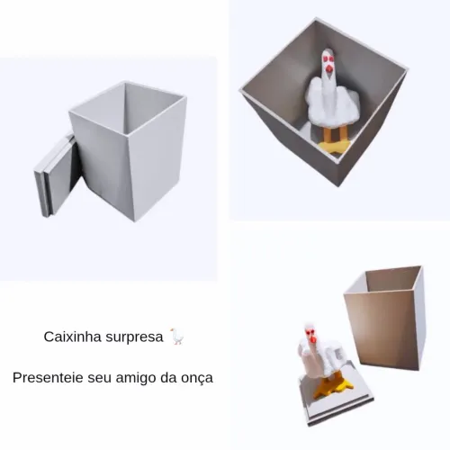 Caixa surpresa engraçada para presentear!