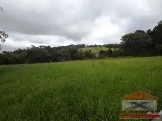 ÁREA INDUSTRIAL COM GALPÃO - FRENTE PARA RODOVIA BUNJIRO NAKAO