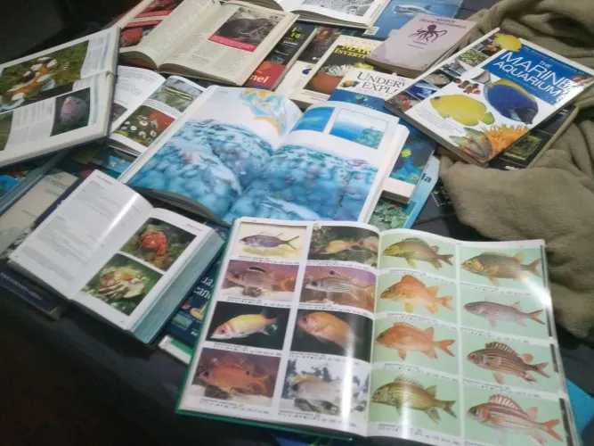 LIVROS, ATLAS DE PEIXES MARINHOS....