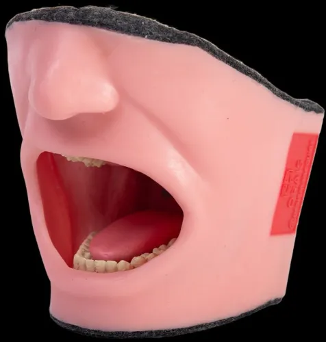 Manequim de Anestesia - SEMINOVO