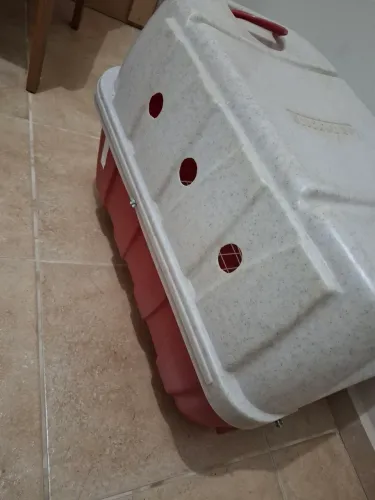 Caixa para cachorro