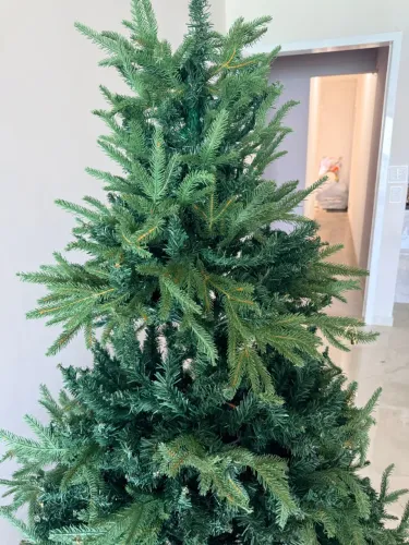 Linda árvore de Natal?