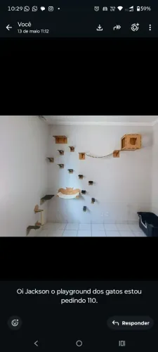 Lindo Playground gatos