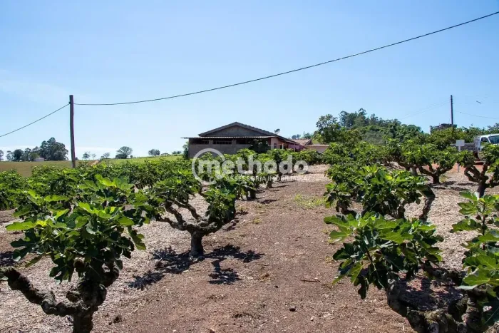 Área à venda, 56785 m² por R$ 1.200.000,00 - Feital - Morungaba/SP