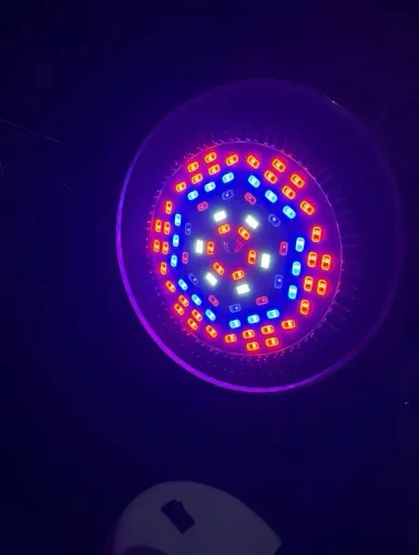 Duas Lâmpadas LED Grow Full Spectrum - E27 50W Bivolt