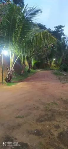 Venda de um sítio ou faço negócio em um carro