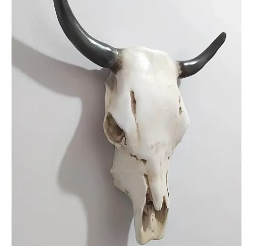 CABEÇA DE BOI EM RESINA CRÂNIO