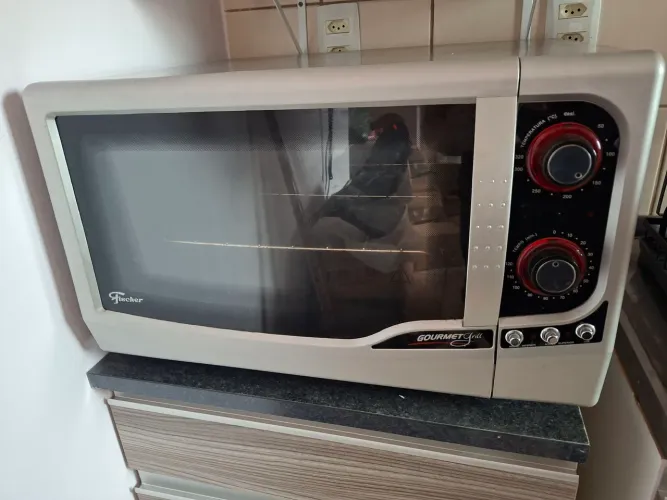 Vendo forno gourmet grill fischer