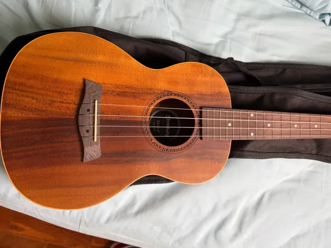 Ukulele strinberg