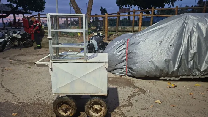 Carrinho de salgados ou cachorro quente a venda 