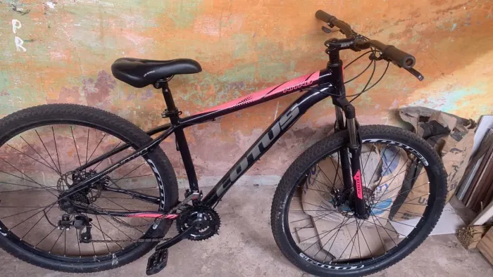 Bicicleta aro 29