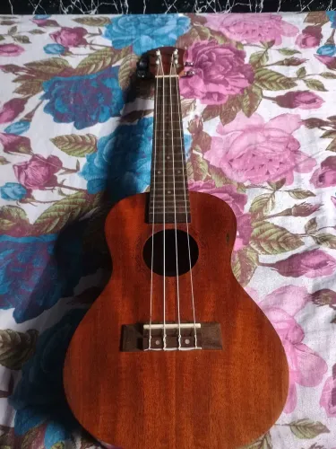 Ukulele tenor