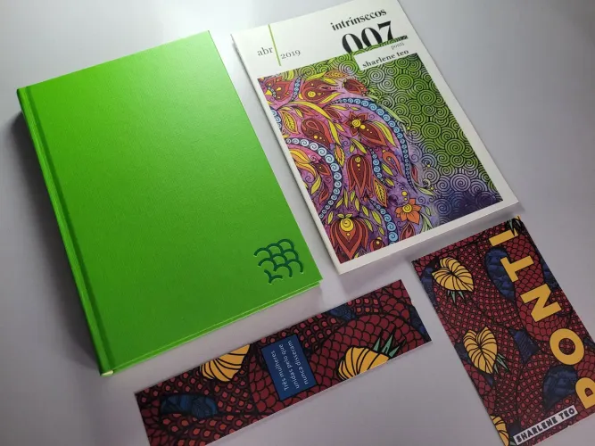 Livro Ponti - Clube Intrínsecos 007