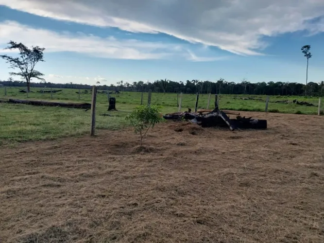 Sítio com 2 dormitórios à venda, 400000 m² por R$ 490.000 - Zona Rural - Porto Velho/RO