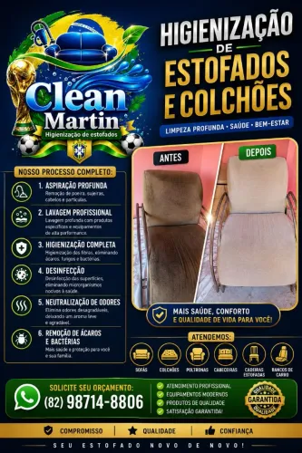 Higienização a seco