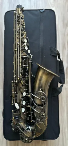 Sax Alto Envelhecido Escovado Michael Wasm46
