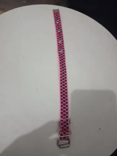 Coleirinha para filhote cachorro.