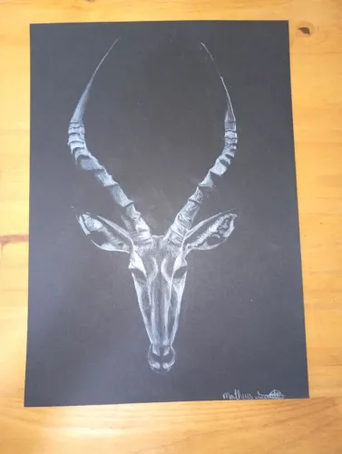 Desenho feito a mão de antílope preto e branco
