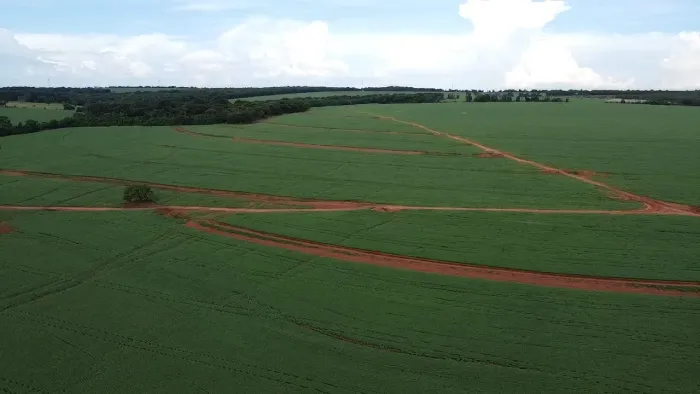Fazenda de dupla aptidão