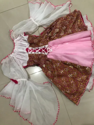 Fantasia Feminina Adulto P