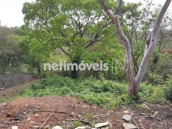 Lote Condominio Fechado - Vale do Tamanduá