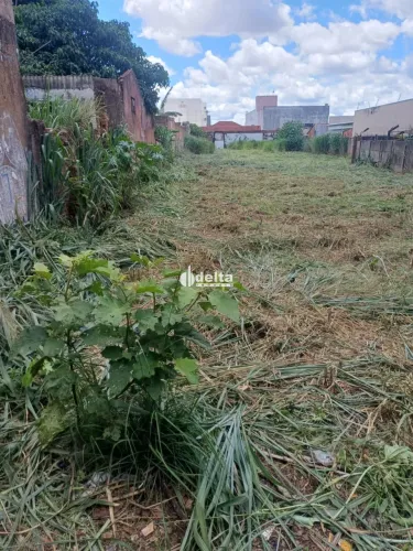 Terreno disponível para venda no bairro Osvaldo Rezende em Uberlândia - MG.