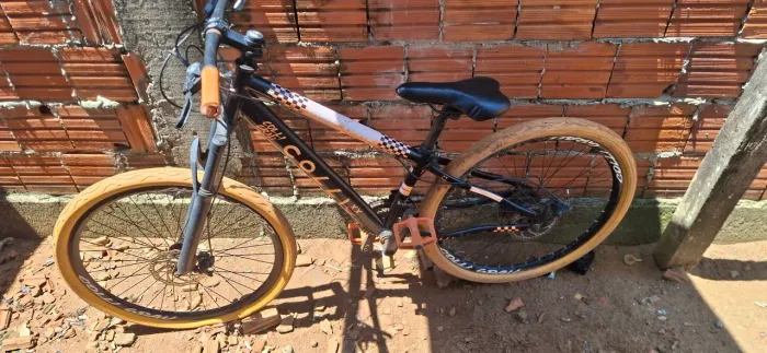 Bicicleta